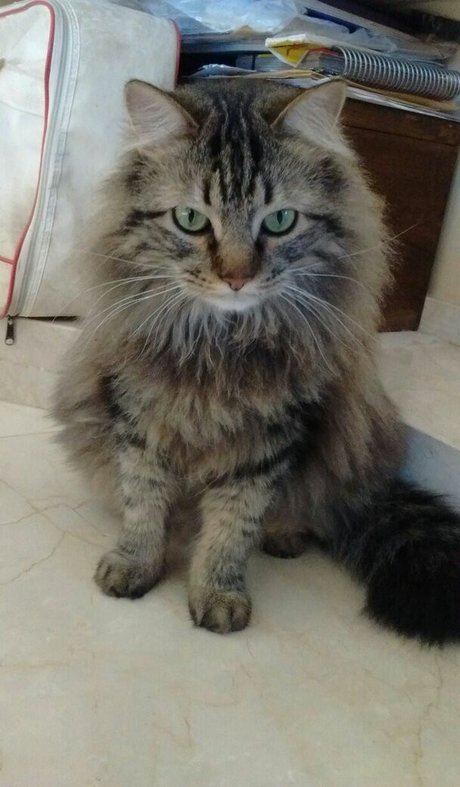 Vera Kaludi actrice porno photo