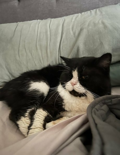 minaluna modèles nus archive