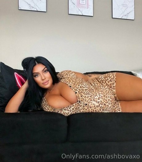 ashbovaxo star du sexe galeries