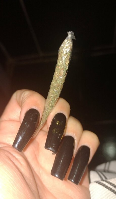 bren1197 étoile galerie