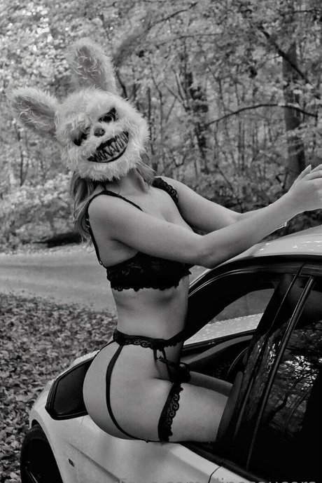 dinosaucers étoile adulte galeries