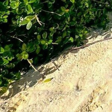 Jojo Siwa Profilfoto