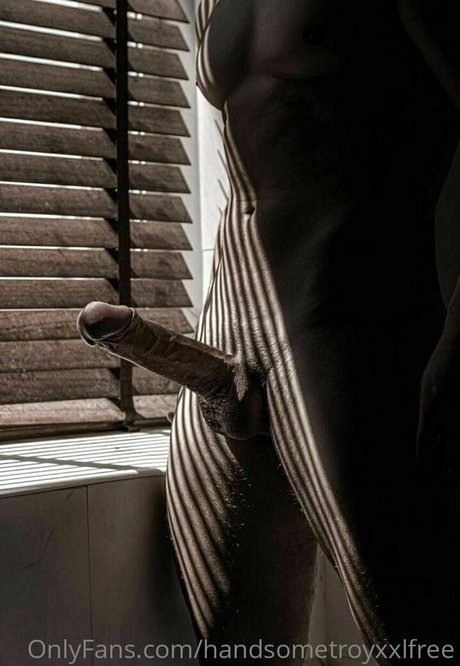 handsometroyxxlfree étoile gratuite galeries