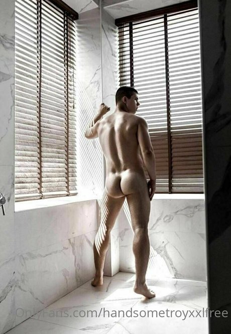 handsometroyxxlfree actrice de nus image