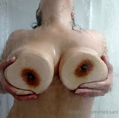 meli sant étoile de l'art img