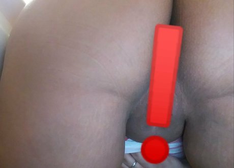 arobbes modèle gratuit image