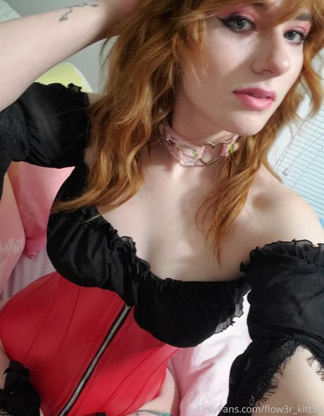 flow3r kitt3n étoile magnifique image