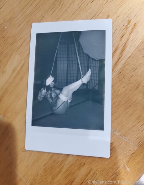 flow3r kitt3n meilleur modèle archive