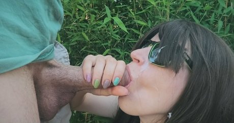 sisgreen meilleur modèle archive