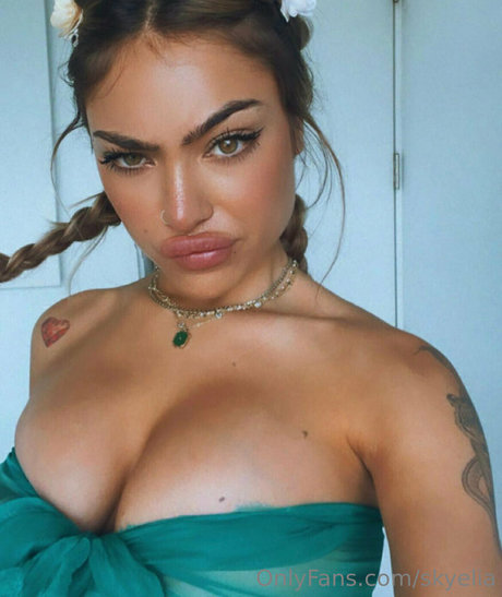 seuls les fans potelés assez chaud des photos