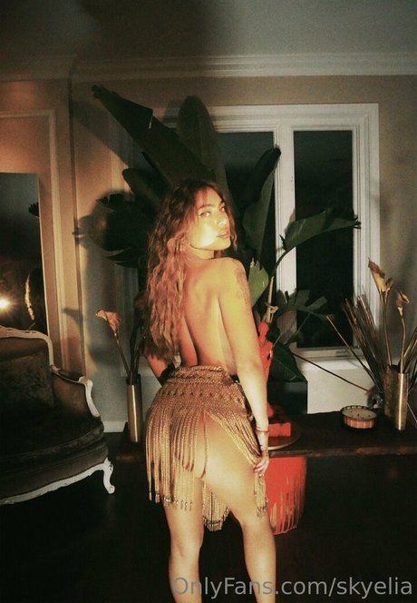 skyelia haut étoile archive