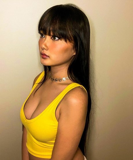 LittleBunnyBabie étoile chaude collection