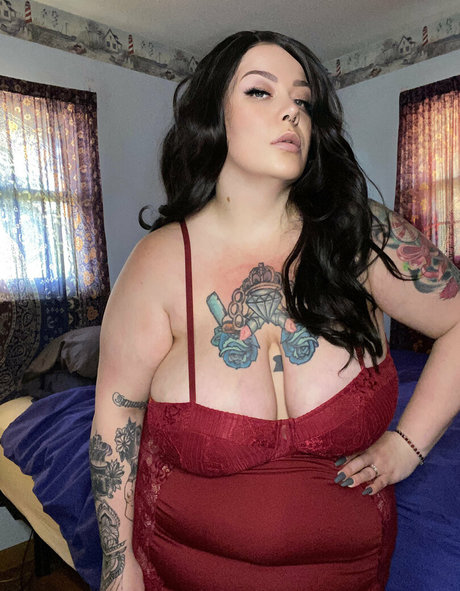 felyxthecat jolie étoile photo