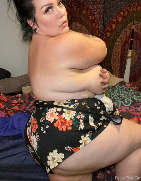felyxthecat modèle pornographique galeries