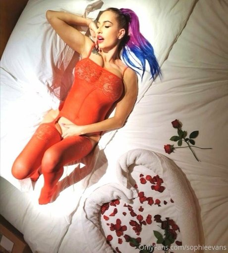 sophieevans étoile galeries