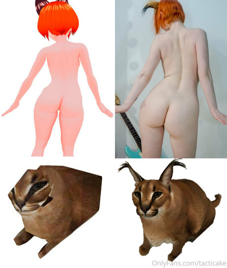 tacticake modèle de sexe image