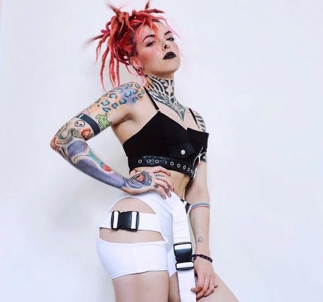 Torierobot meilleur modèle galerie