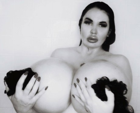 foxymenagerieverre étoile de l'art galeries