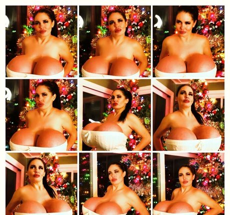 foxymenagerieverre Profilfoto