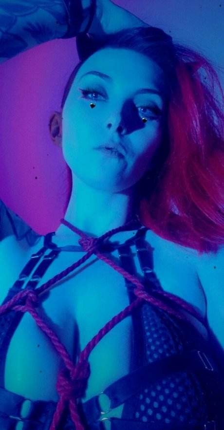 MajestyRedQueen étoile galerie