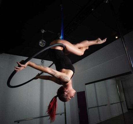 larraphoenix meilleur modèle galerie