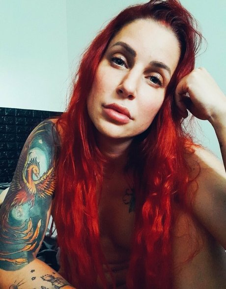 larraphoenix star exclusive galerie