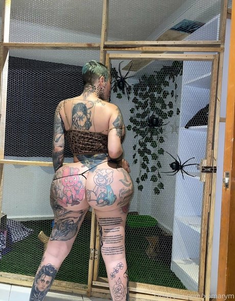 Xomarym star exclusive img