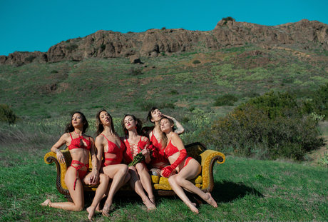 dallasemaxxfree étoile chaude archive