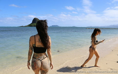 dallasemaxxfree modèle de sexe img
