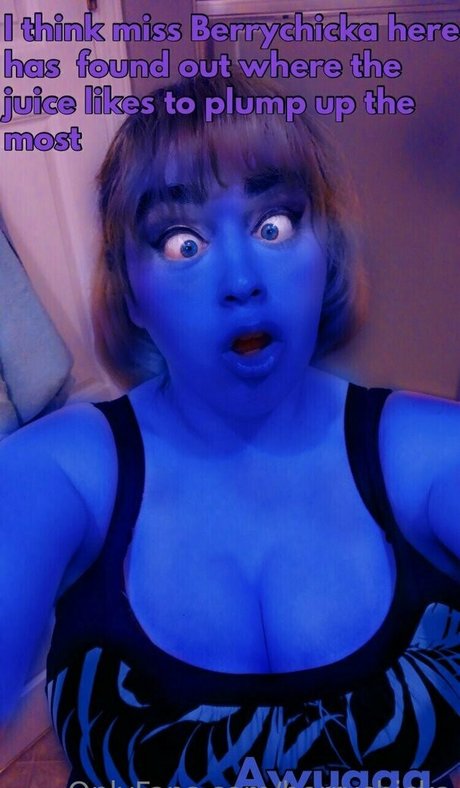 berrychicka beau modèle galerie