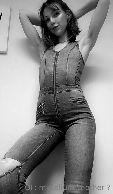 mycelium mother étoile gratuite des photos