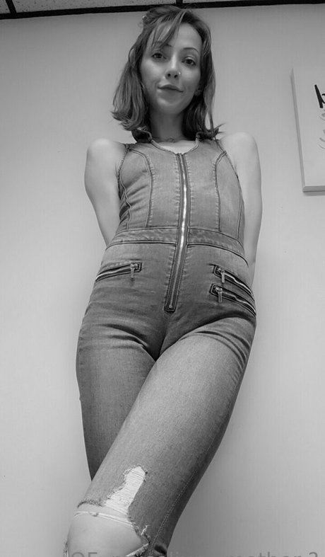 mycelium mother haut étoile galerie