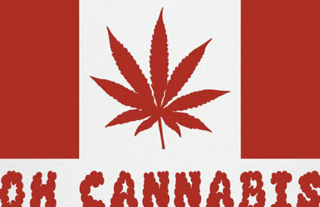 curvaceous barbie étoile images