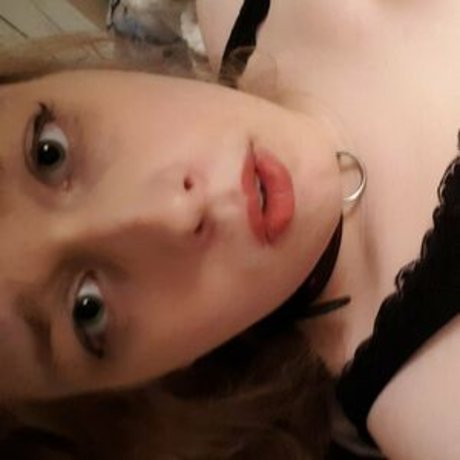 fans anaux courbés uniquement belle exclusivité galerie