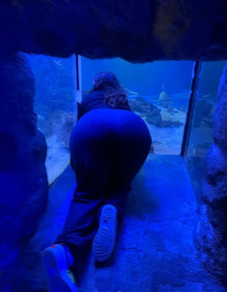 slimthickn étoile nue collection