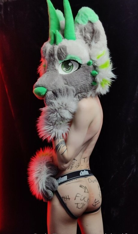 midorifox modèle meilleur photos