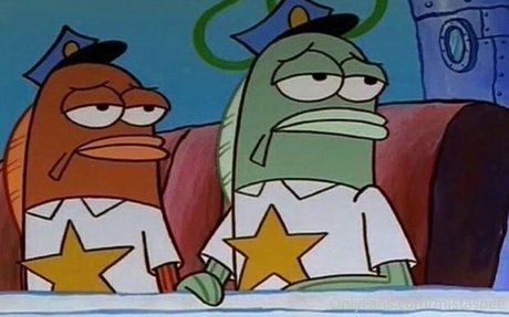 cowgirl en bikini uniquementfans beau haut des photos