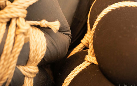 dojolifestyle modèle pornographique galeries