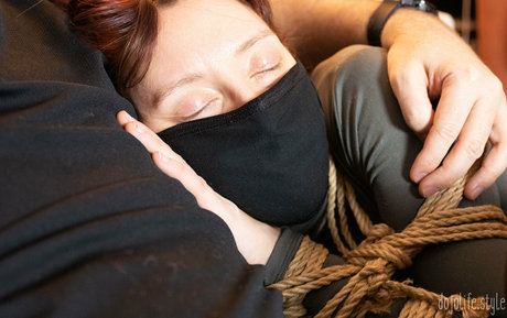 dojolifestyle étoile magnifique galeries