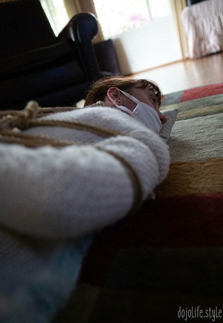 dojolifestyle étoile hd photos