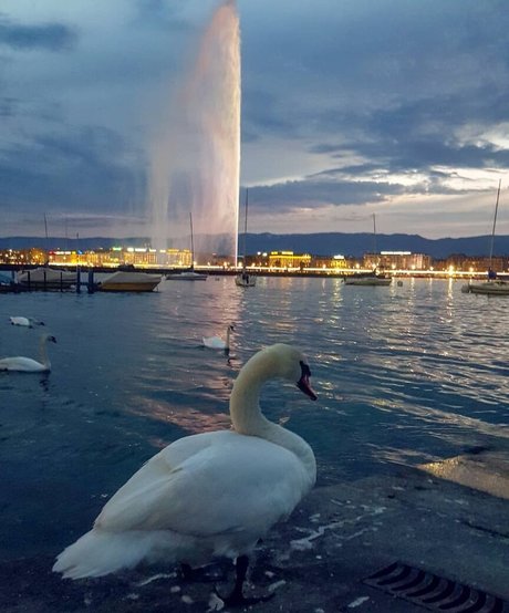 fans asiatiques sexy uniquement nu érotique archive