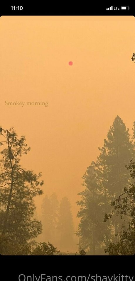 shaykitty art star du porno archive