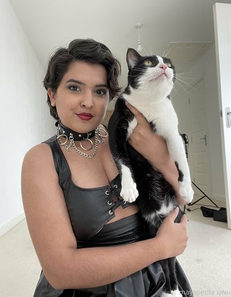 mayapetite étoile de haute qualité archive