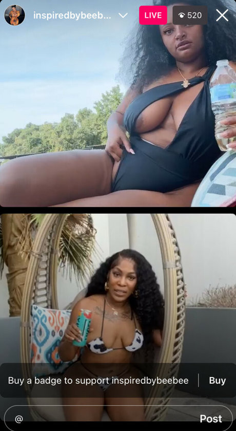 inspiredbybeebee meilleur modèle img