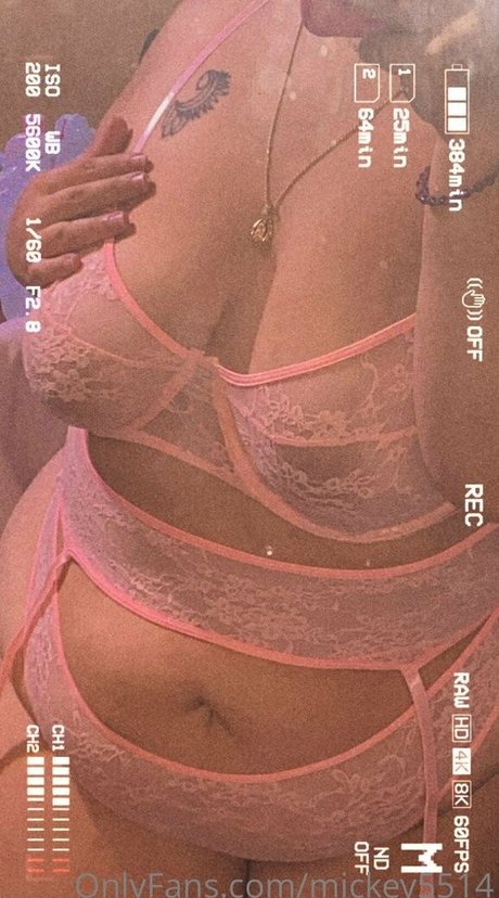 mickey55 art modèle galerie