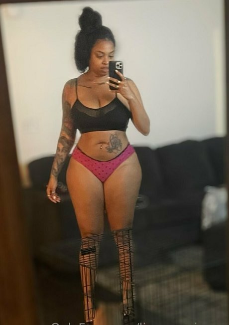 lisaexperience étoile parfaite collection