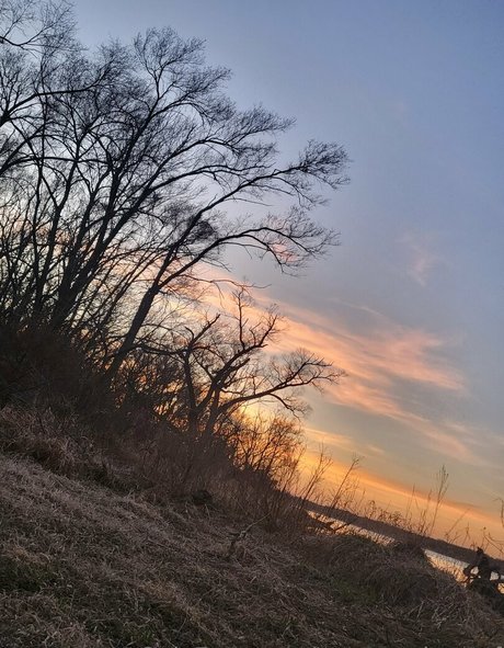 ur succubus gf étoile parfaite photo