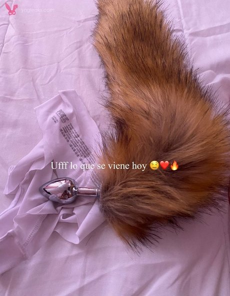 méga fans uniquement jolie adulte archive