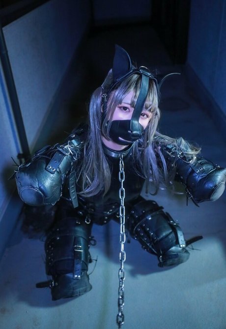 Dlemon beau modèle img