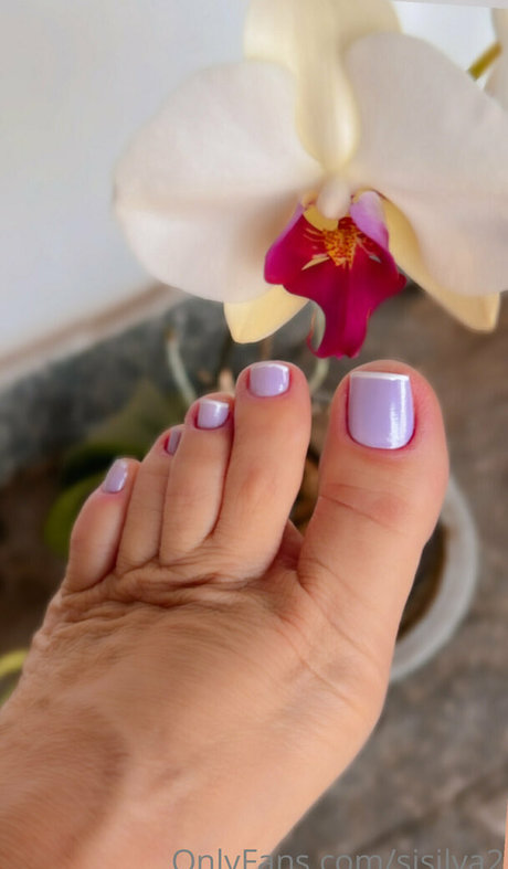 sisilva2 étoile de l'art archive